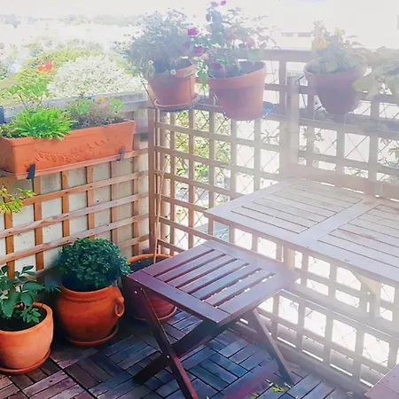 Apartment Charming Apt With Nice View On The Adour River